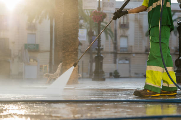 Best Solar Panel Cleaning  in Hilton, NY